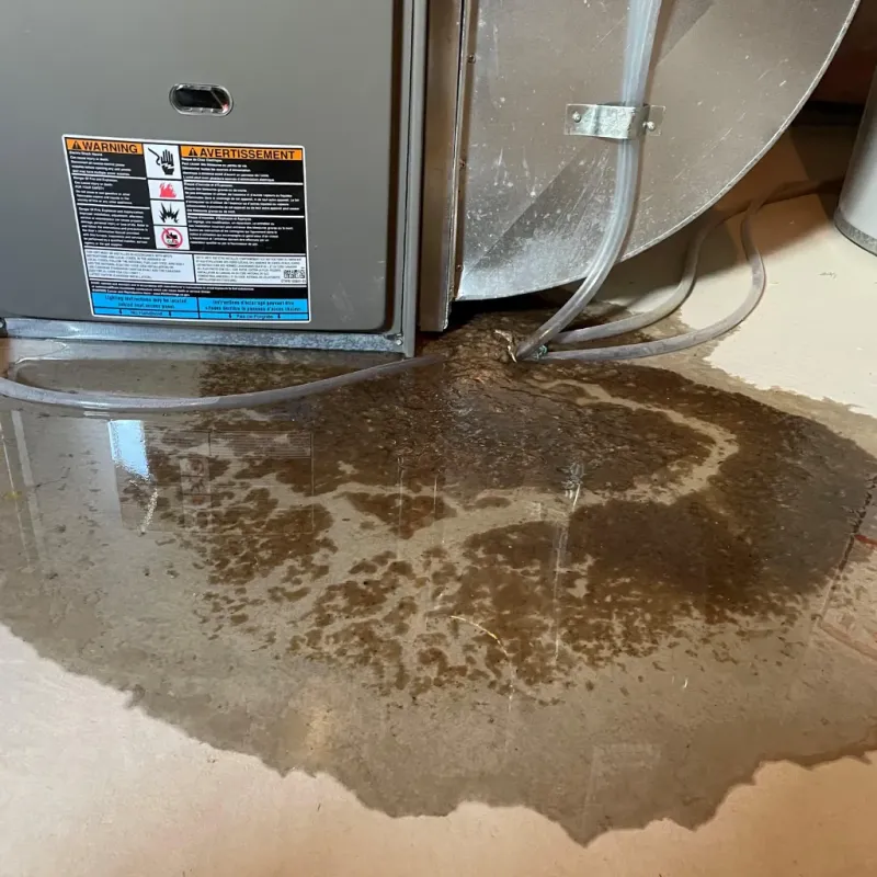 Appliance Leak Cleanup in Castroville, TX